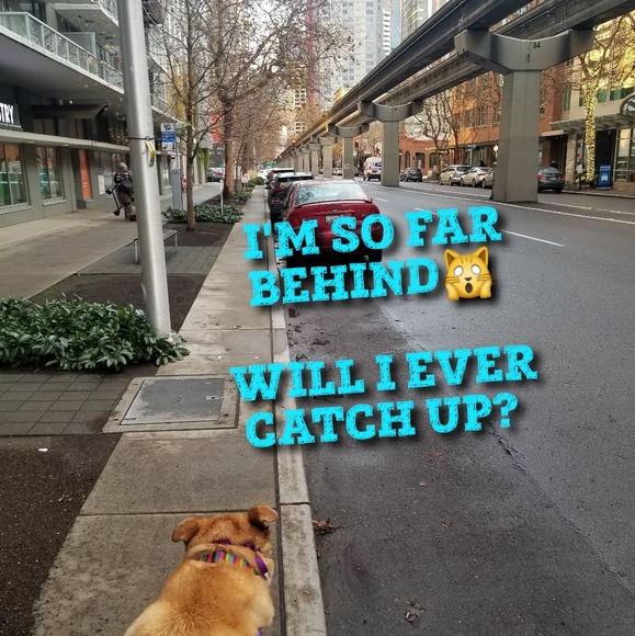 Status - Picture 7 of 15